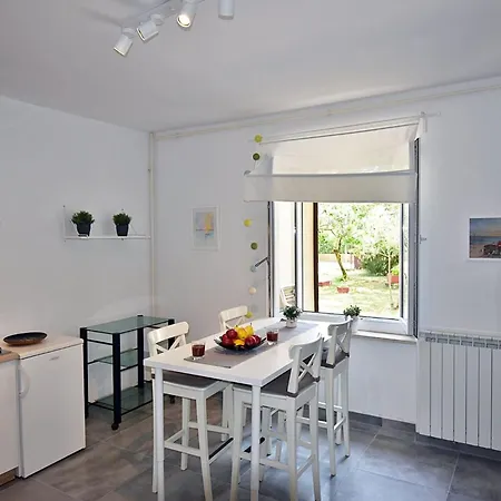 Apartment Flower Garden Rhapsody - Modern Family Near *